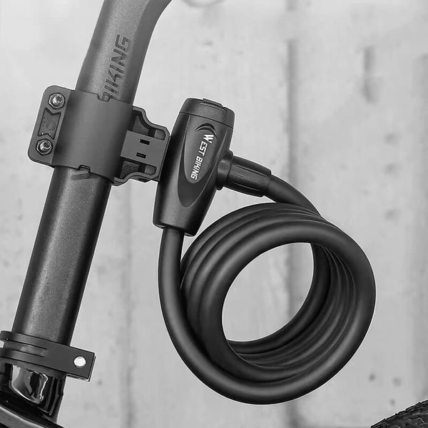Antivol velo